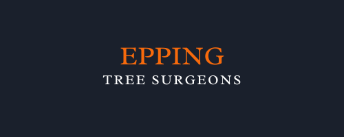 Epping Tree Surgeons